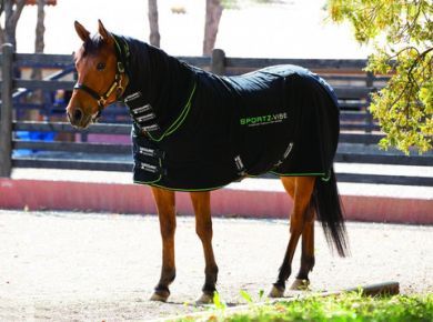 Sportz-Vibe Massage Rug