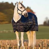Mio Stable Rug
