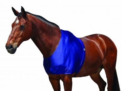 Weatherbeeta Stretch Shoulder Guard