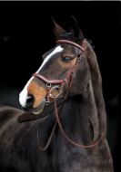 Rambo Micklem Competition Bridle 