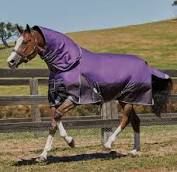 Weatherbeeta Comfitec Plus Dynamic II Detach-A-Neck Medium