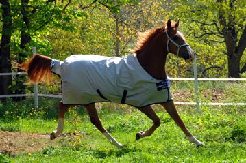 Bucas Sun Shower Turnout